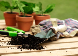 Prontuario per apprendisti giardinieri 14 0 In giardino